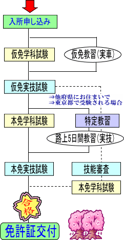 免許取得の流れ